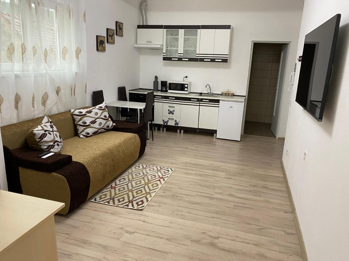 Centralhome Ap1 Sighişoara Exteriér fotografie