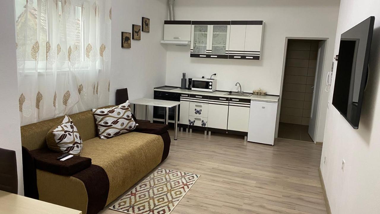 Centralhome Ap1 Sighişoara Exteriér fotografie
