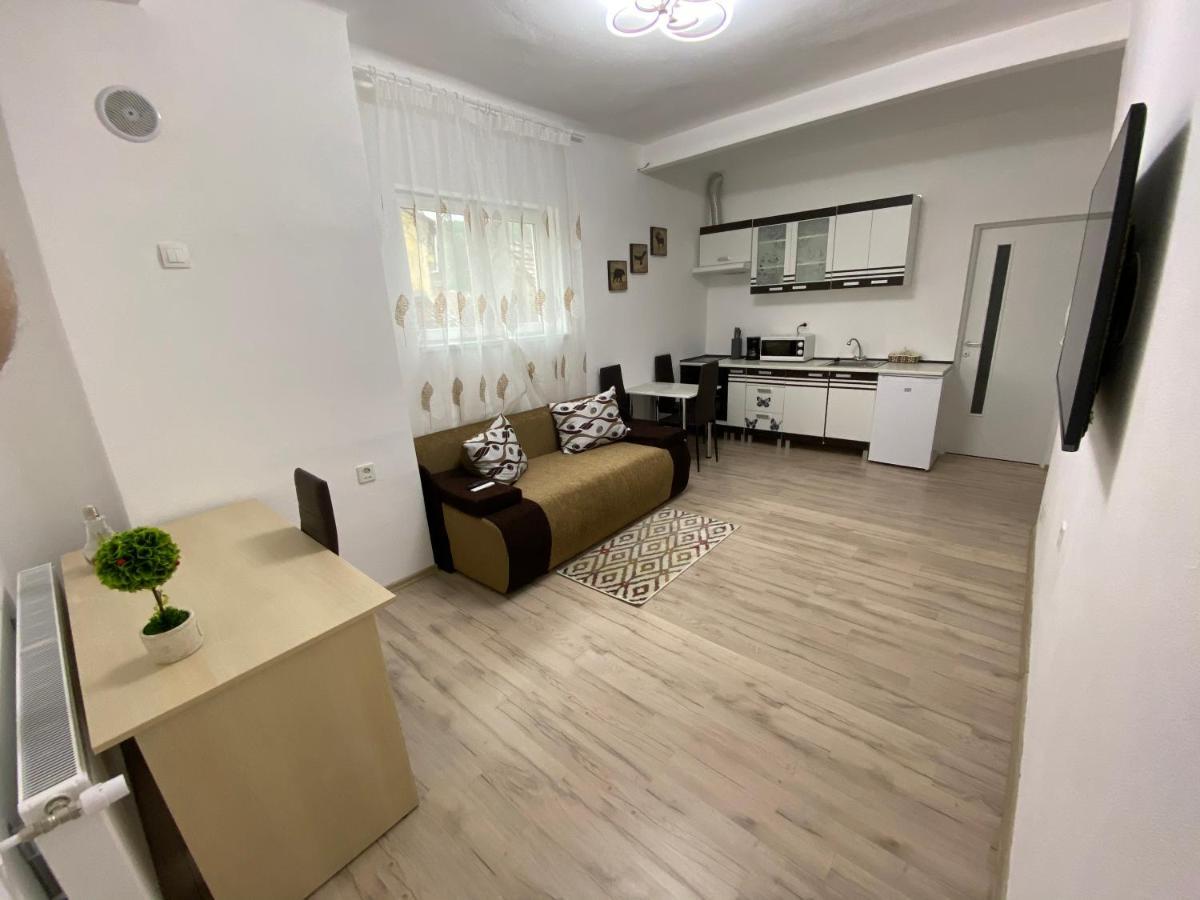 Centralhome Ap1 Sighişoara Exteriér fotografie